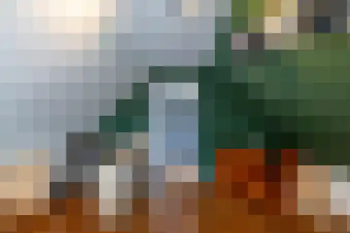 Hoppekampweg 5 Peize thumbnail 32