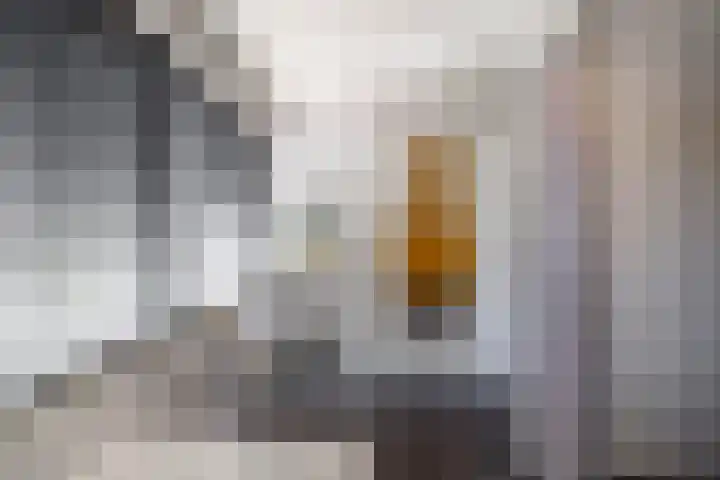 Hoppekampweg 5 Peize thumbnail 37