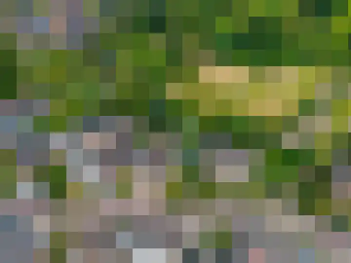 Hoppekampweg 5 Peize thumbnail 42