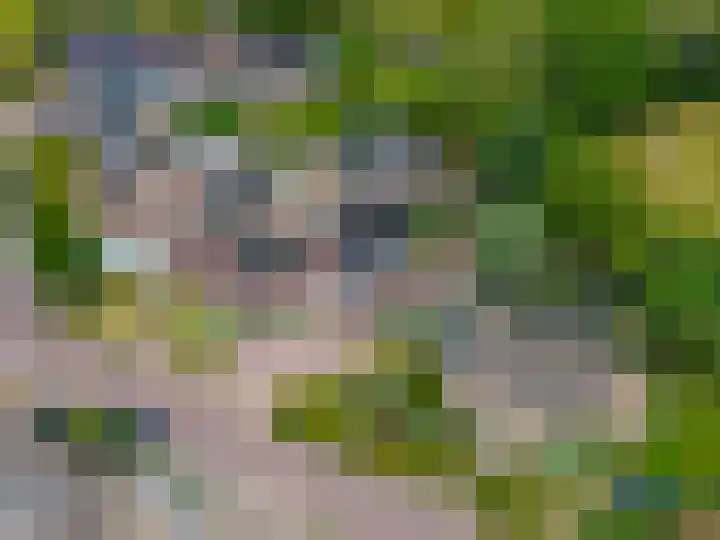 Hoppekampweg 5 Peize thumbnail 44