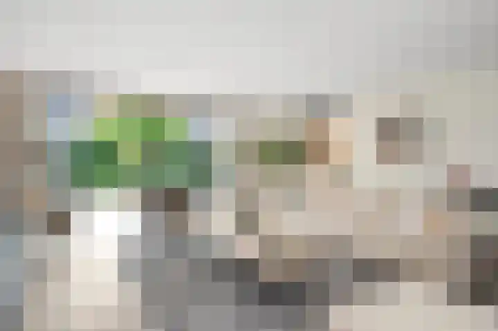 Hoppekoolhof 1 Beek thumbnail 25