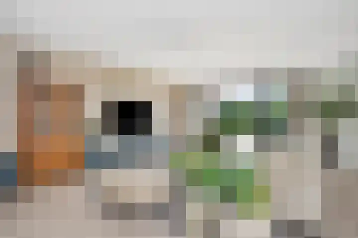 Hoppekoolhof 1 Beek thumbnail 26
