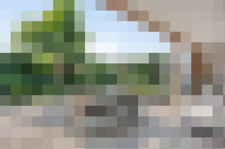 Hoppekoolhof 1 Beek thumbnail 30