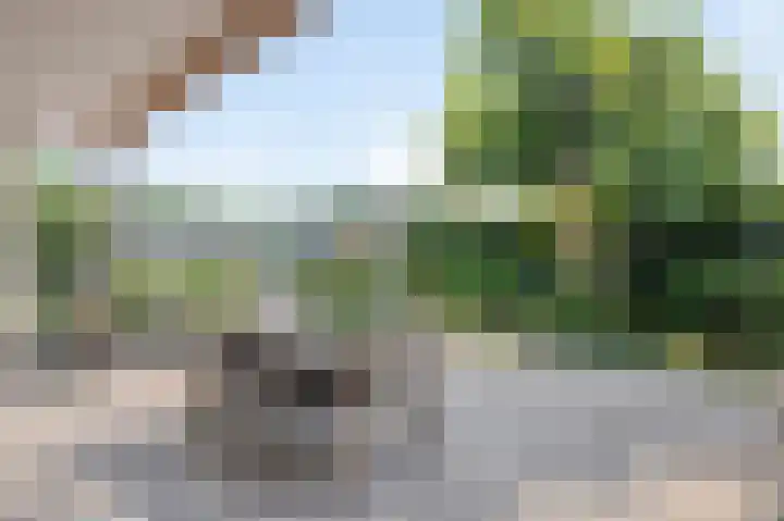 Hoppekoolhof 1 Beek thumbnail 31