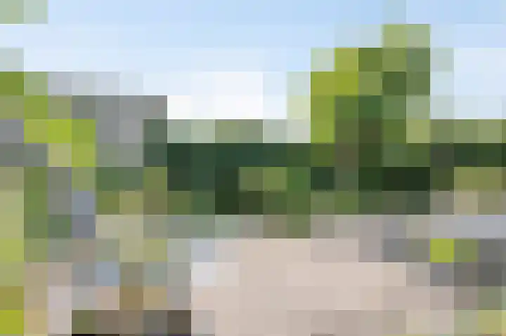 Hoppekoolhof 1 Beek thumbnail 37
