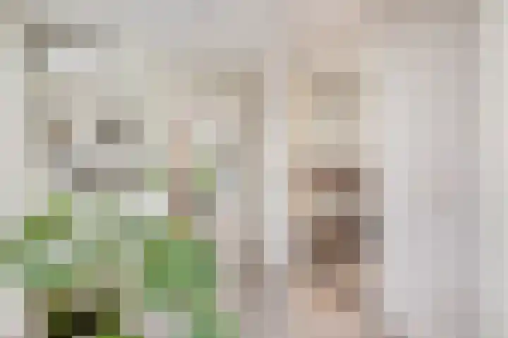 Hoppekoolhof 1 Beek thumbnail 42