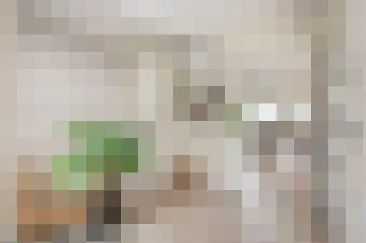 Hoppekoolhof 1 Beek thumbnail 43