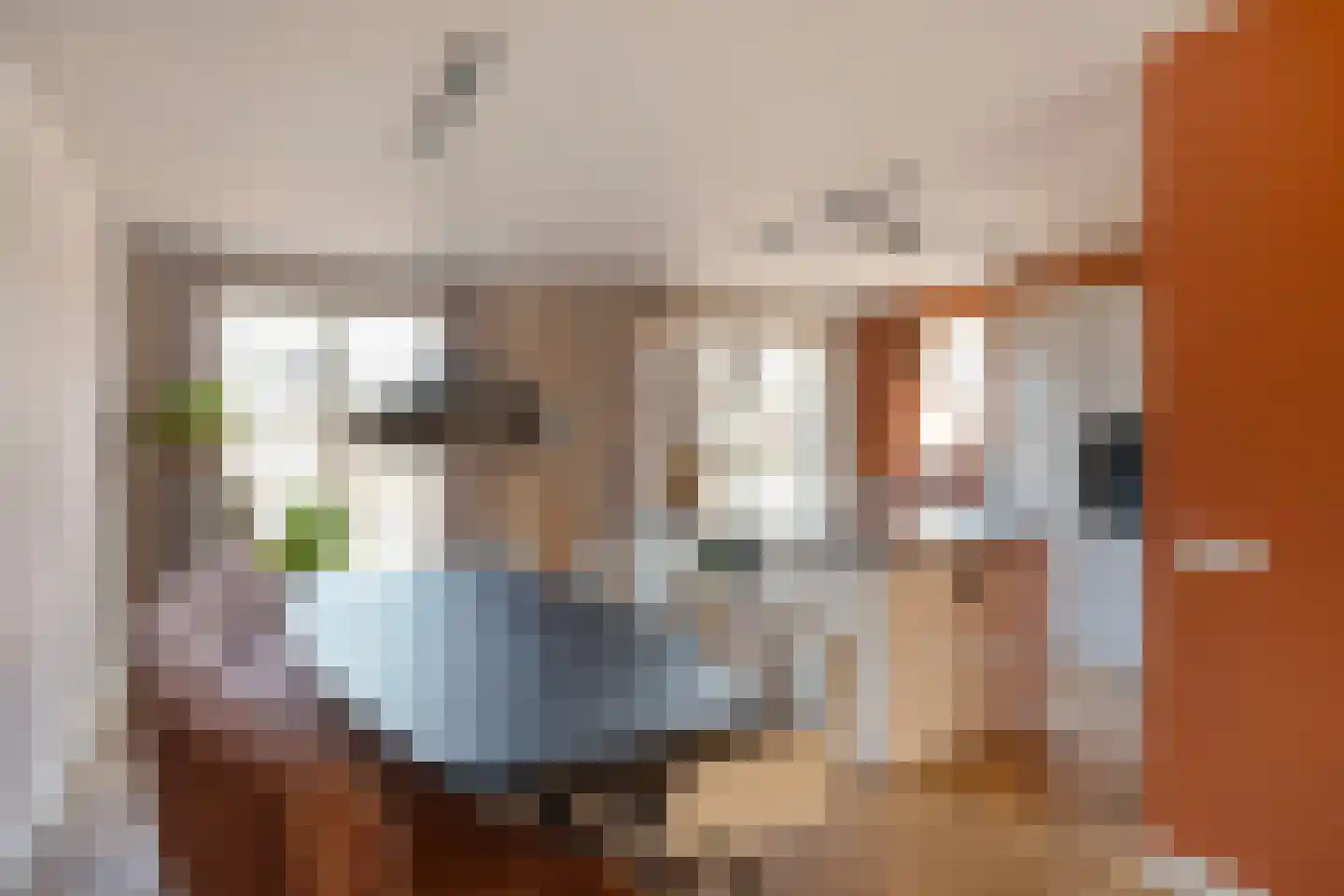 Hoppenakker 12 Oirschot thumbnail 10