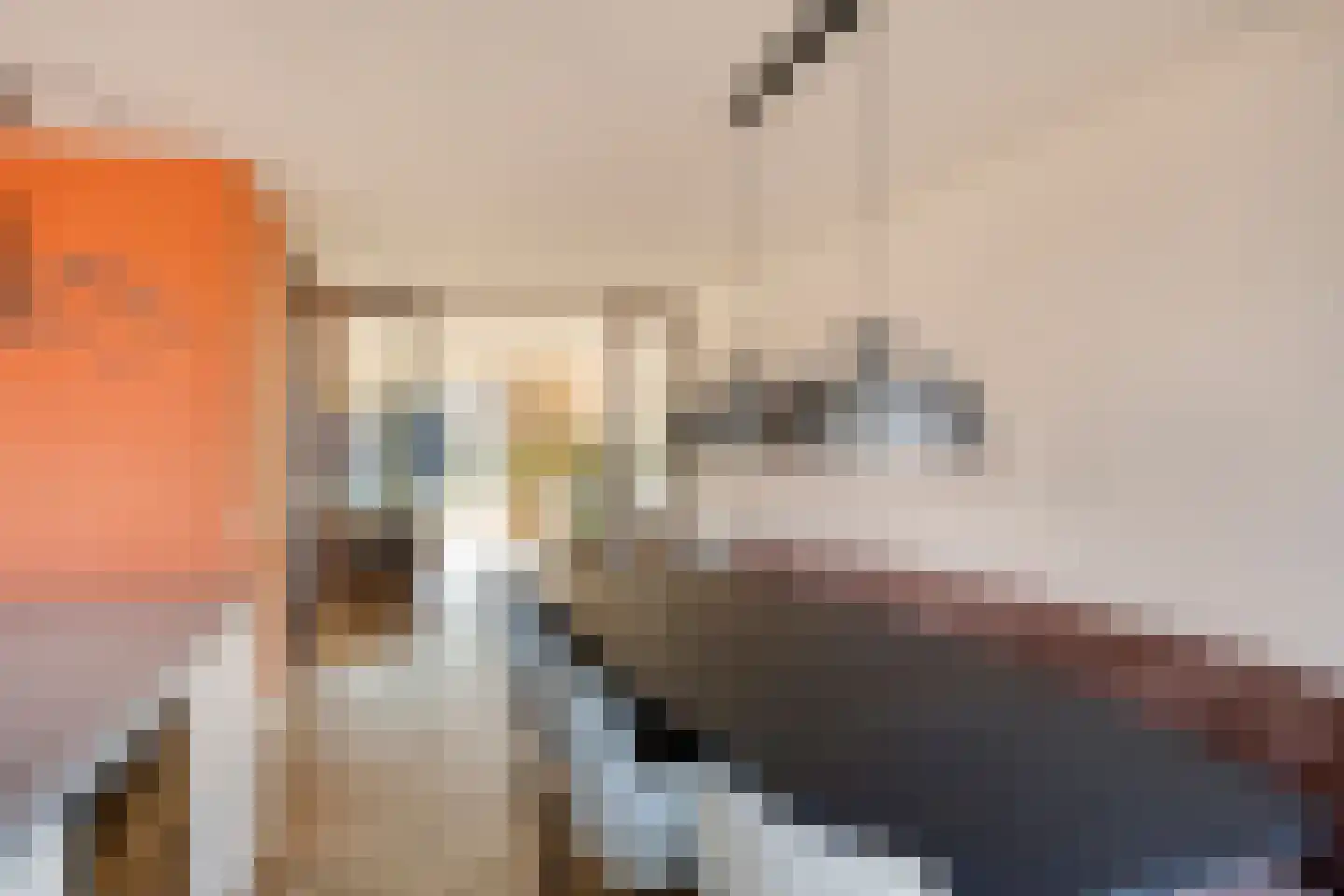 Hoppenakker 12 Oirschot thumbnail 16