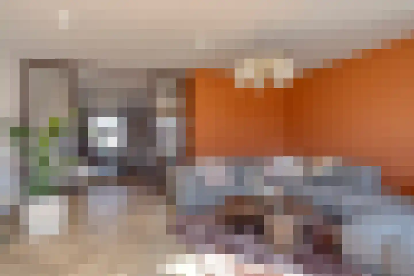 Hoppenakker 12 Oirschot thumbnail 21