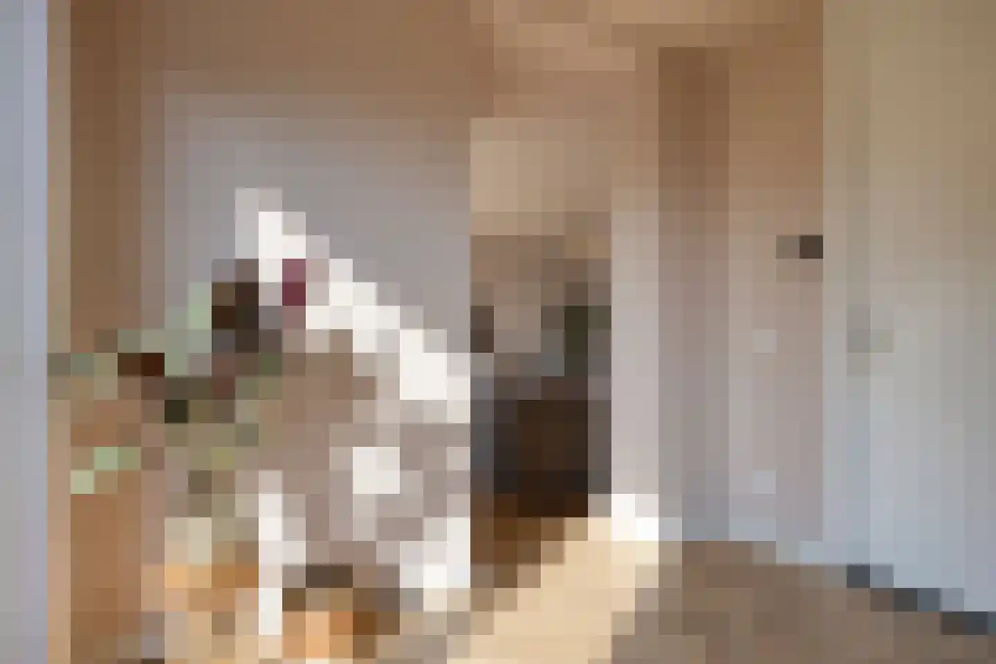 Hoppenakker 12 Oirschot thumbnail 22