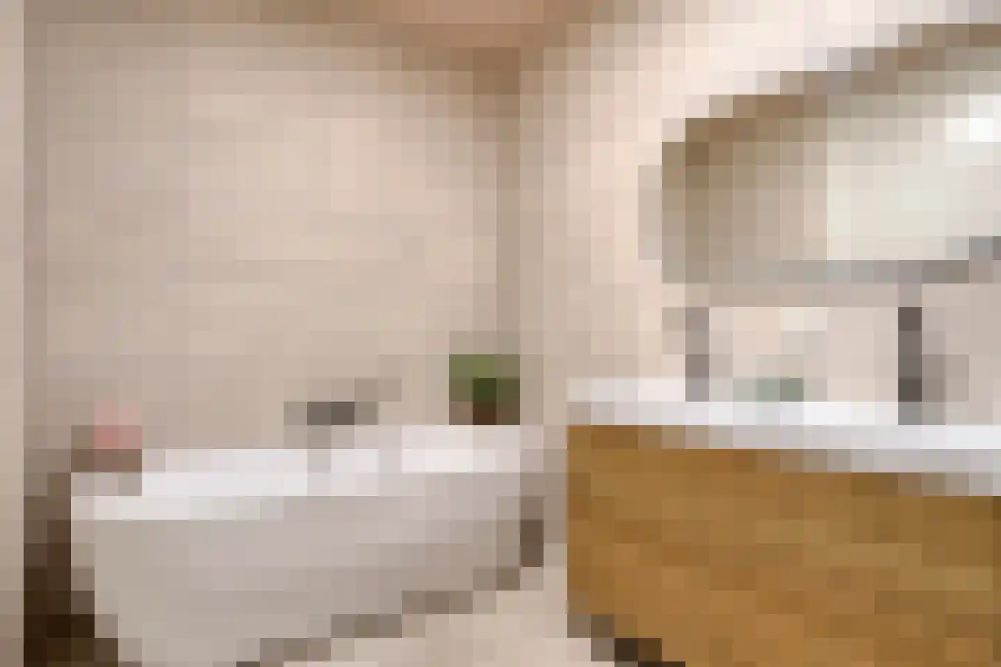 Hoppenakker 12 Oirschot thumbnail 4