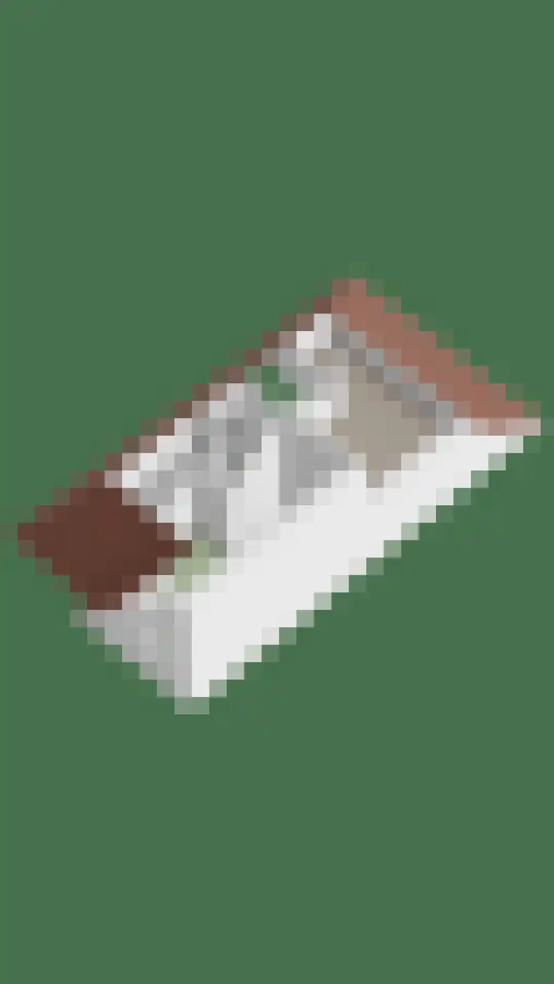 Hoppenakker 12 Oirschot thumbnail 60