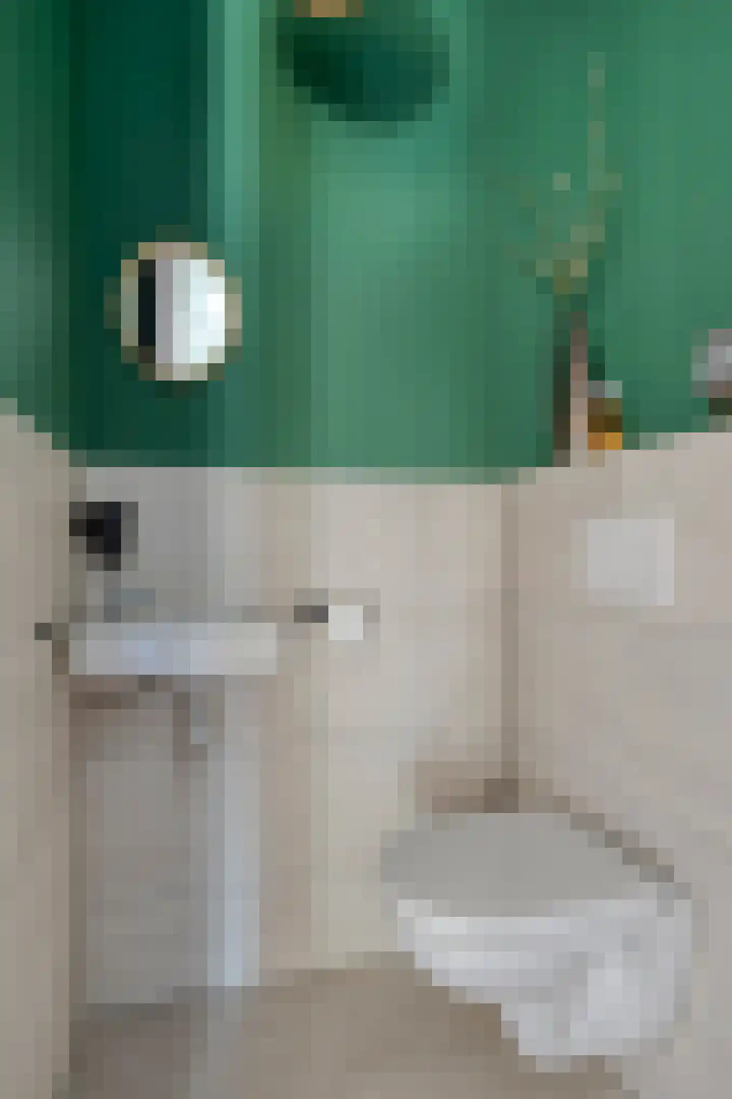 Hoppenakker 12 Oirschot thumbnail 8