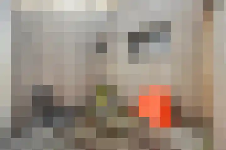 Hoppenbrouwers 17 Valkenswaard thumbnail 28