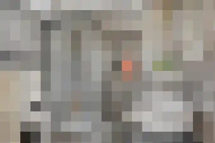 Hoppenbrouwers 17 Valkenswaard thumbnail 29