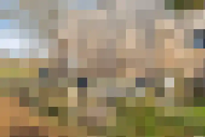 Hoppenbrouwers 17 Valkenswaard thumbnail 37