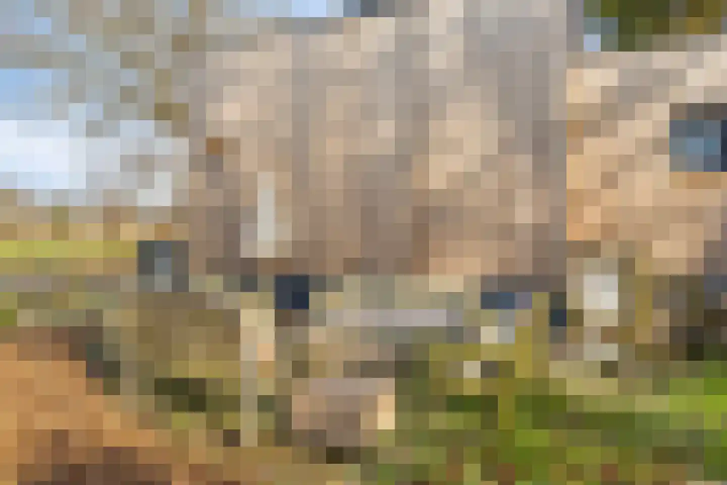 Hoppenbrouwers 17 Valkenswaard thumbnail 37