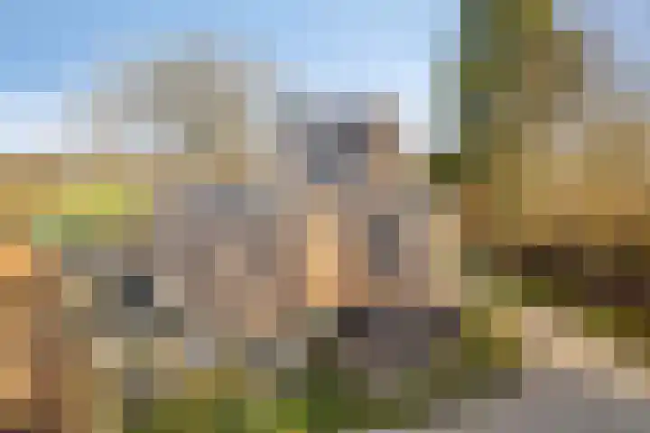 Hoppenbrouwers 17 Valkenswaard thumbnail 4