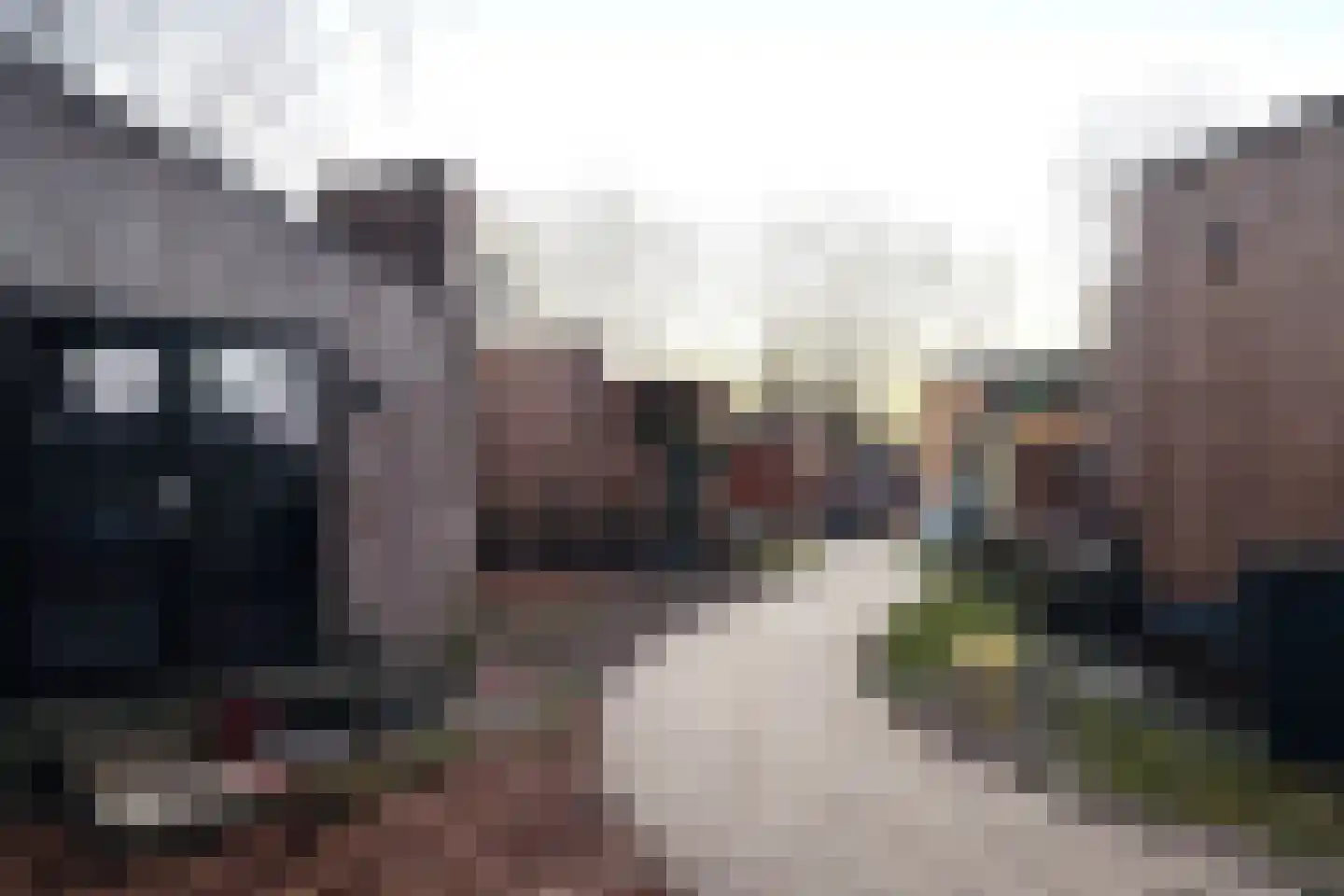 Hoppenbrouwers 35 Valkenswaard thumbnail 16