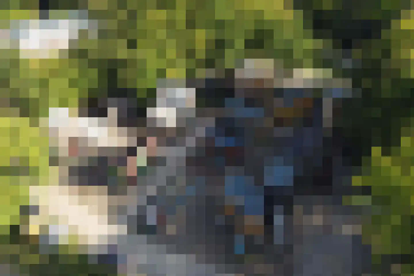 Hoppenbrouwers 35 Valkenswaard thumbnail 17