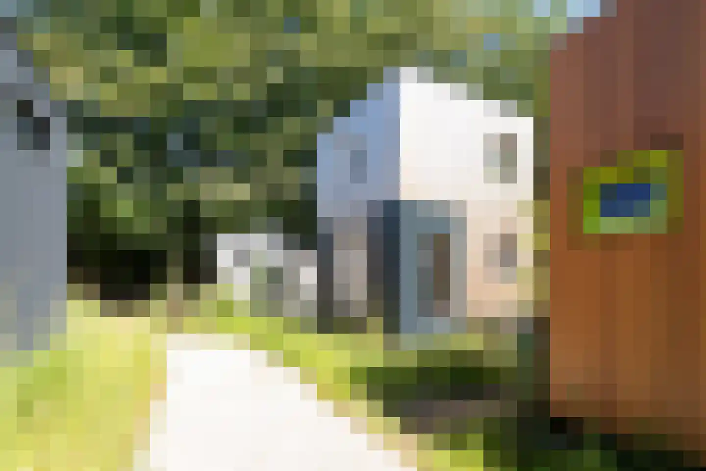 Hoppenbrouwers 35 Valkenswaard thumbnail 27