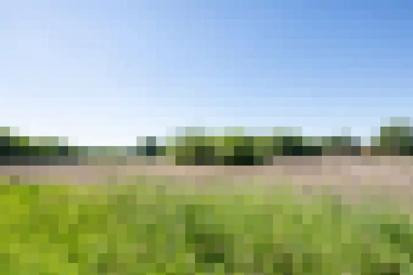 Hoppenbrouwers 35 Valkenswaard thumbnail 29