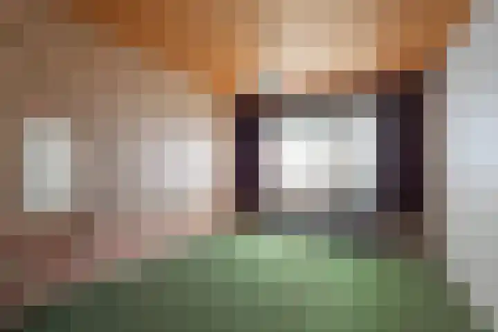 Hoppenkampstraat 19 Stein thumbnail 10