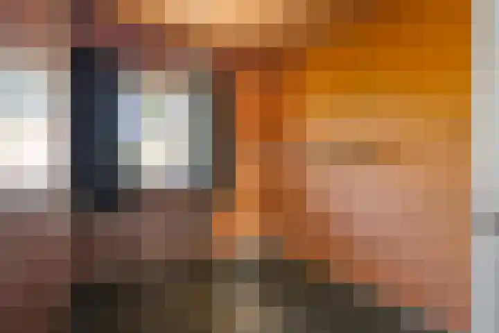 Hoppenkampstraat 19 Stein thumbnail 12