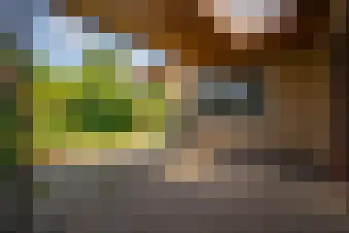 Hoppenkampstraat 19 Stein thumbnail 14