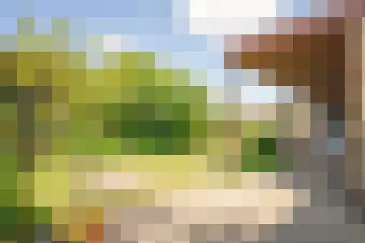 Hoppenkampstraat 19 Stein thumbnail 15