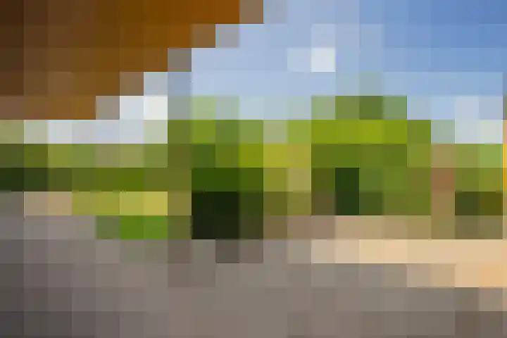 Hoppenkampstraat 19 Stein thumbnail 16