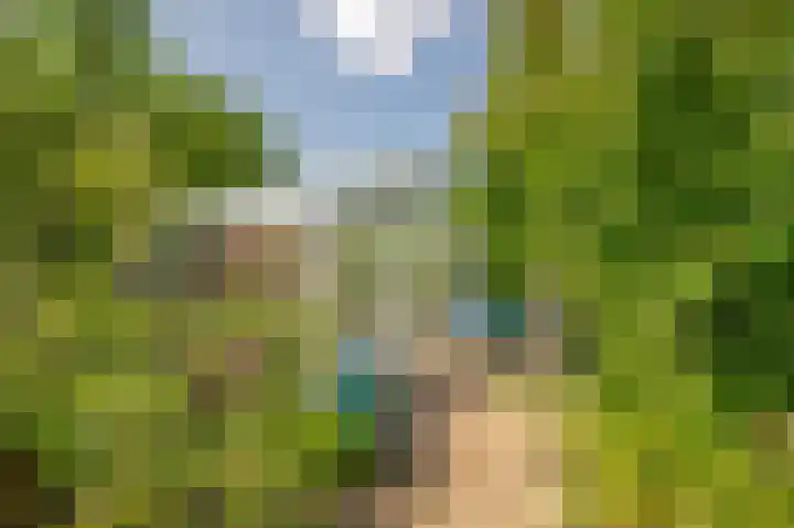 Hoppenkampstraat 19 Stein thumbnail 18