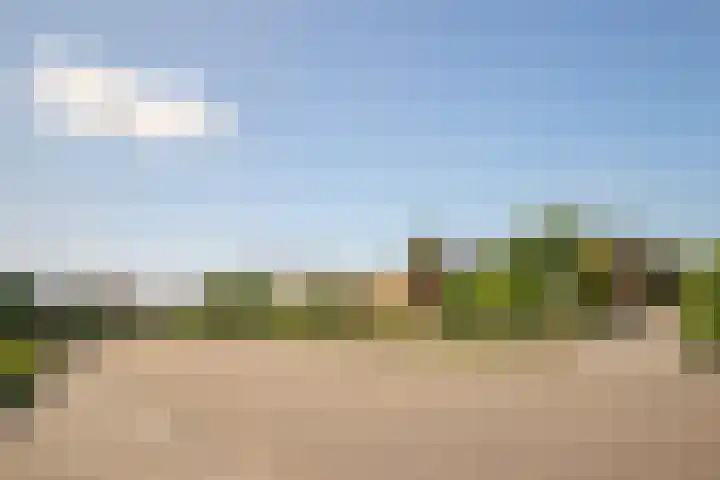Hoppenkampstraat 19 Stein thumbnail 19