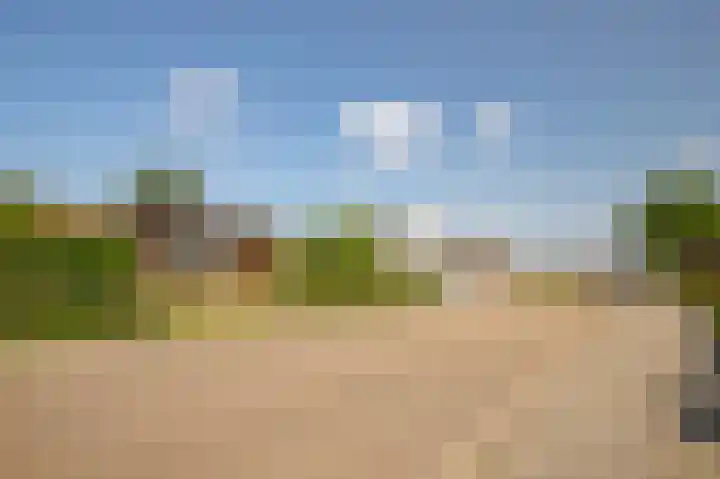 Hoppenkampstraat 19 Stein thumbnail 20