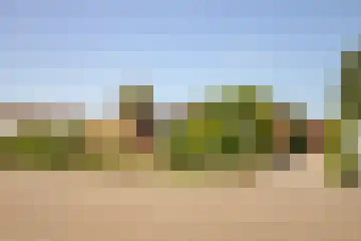 Hoppenkampstraat 19 Stein thumbnail 25