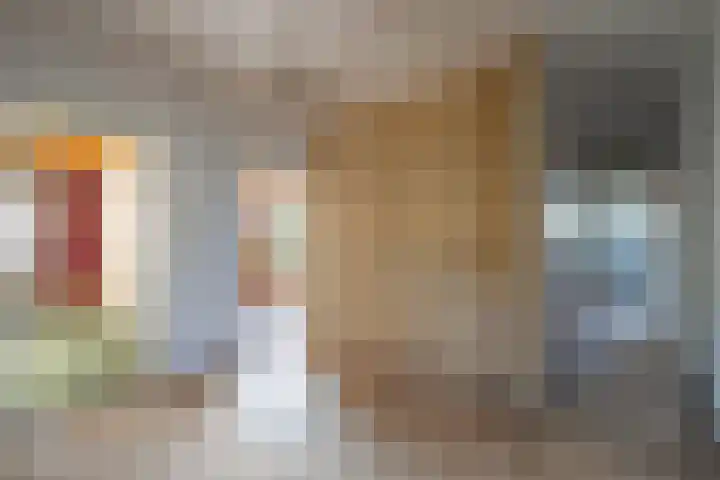 Hoppenkampstraat 19 Stein thumbnail 5