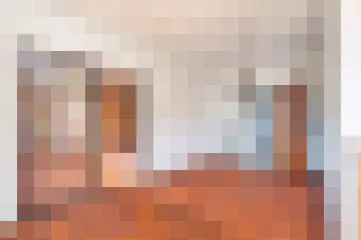 Hoppenkampstraat 19 Stein thumbnail 7