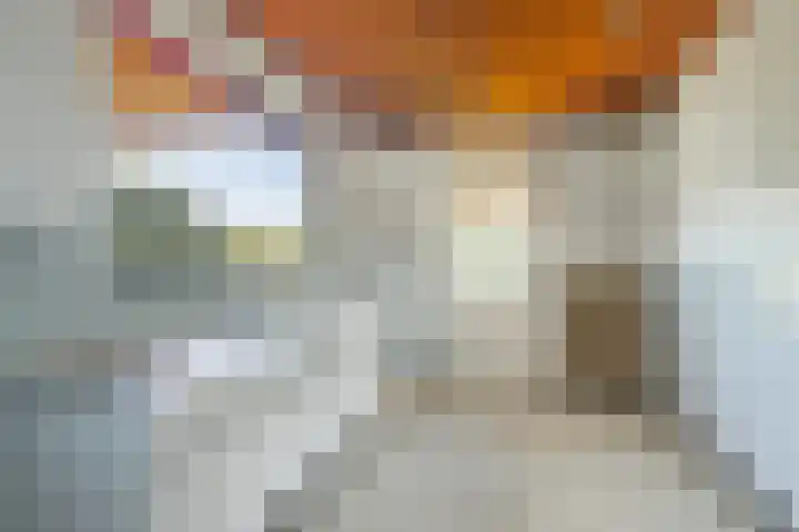 Hoppenkampstraat 19 Stein thumbnail 9
