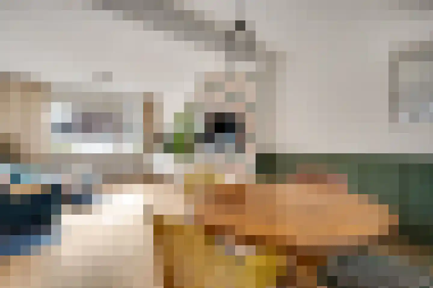 Hoppenraderweg 9 Swalmen thumbnail 13