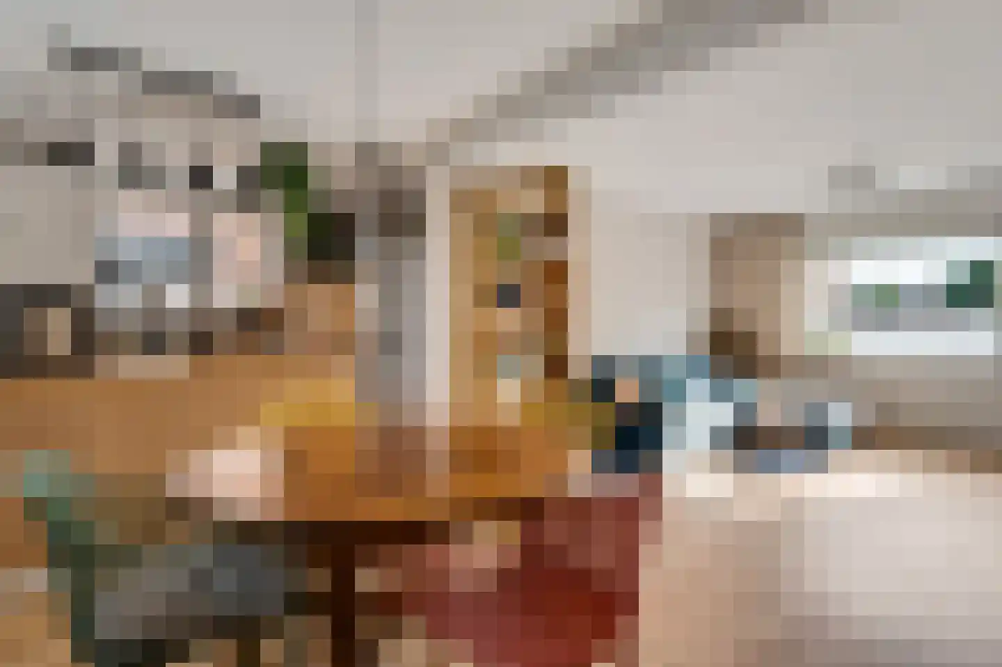 Hoppenraderweg 9 Swalmen thumbnail 14