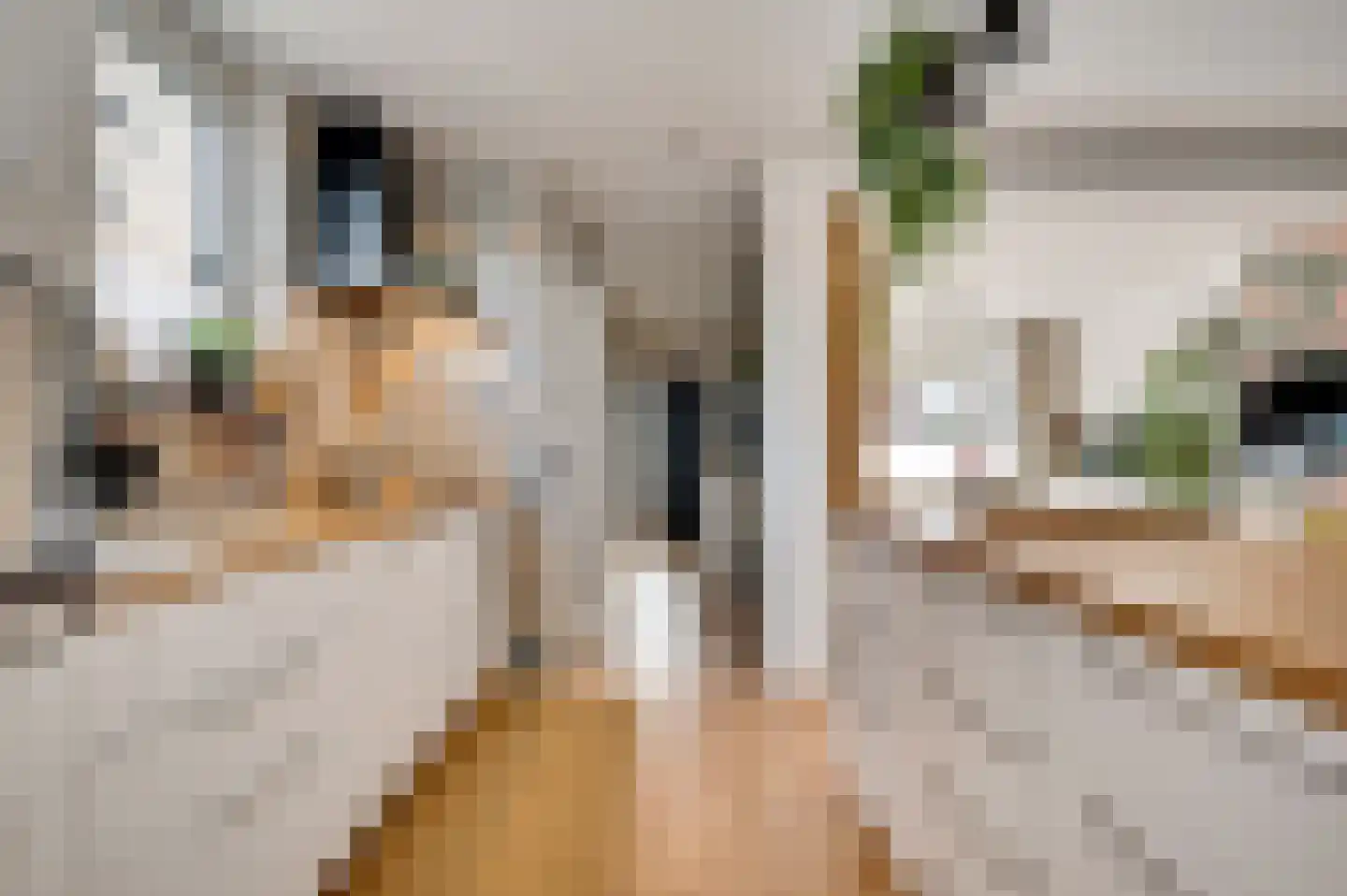 Hoppenraderweg 9 Swalmen thumbnail 16