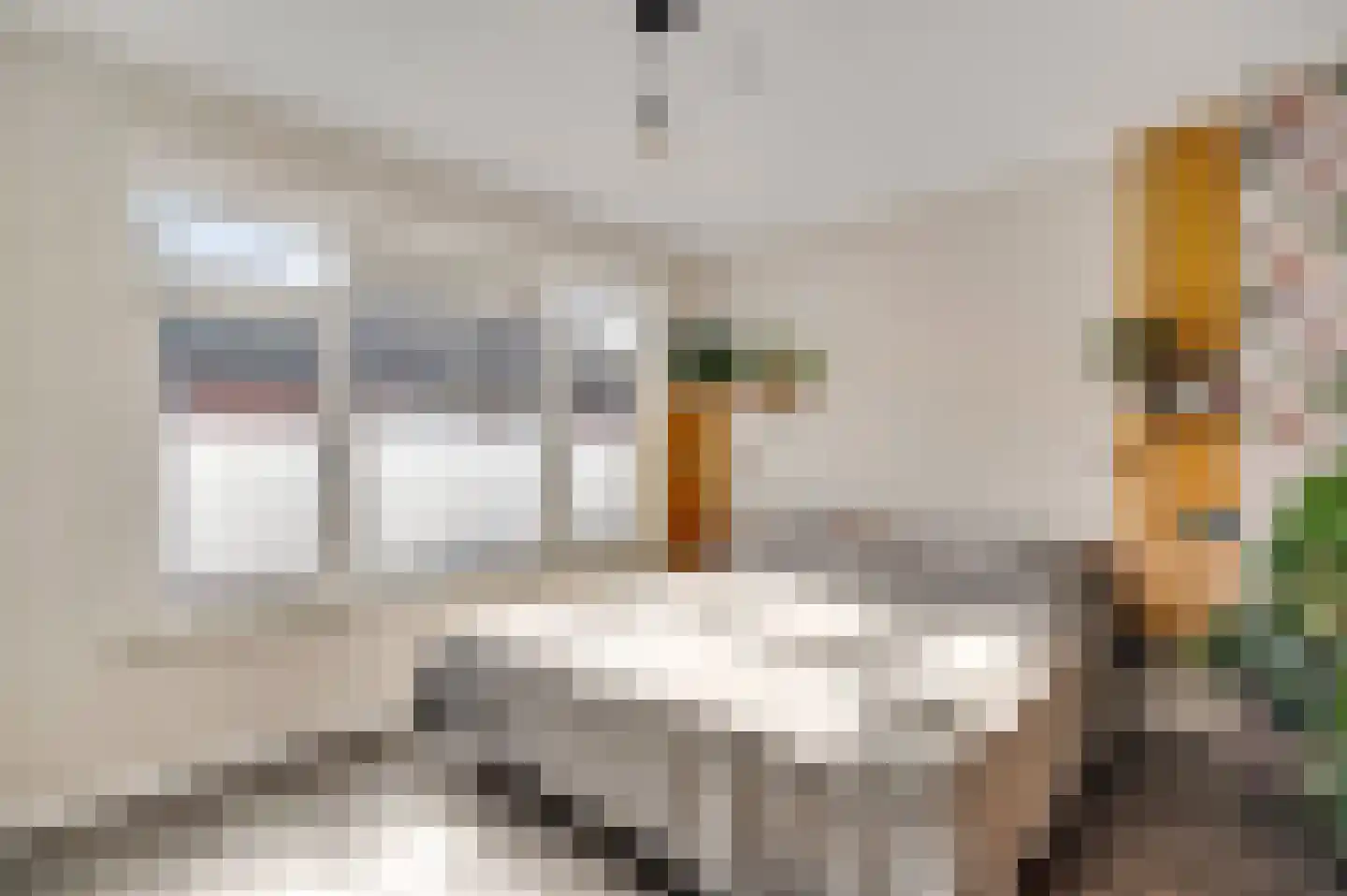 Hoppenraderweg 9 Swalmen thumbnail 19