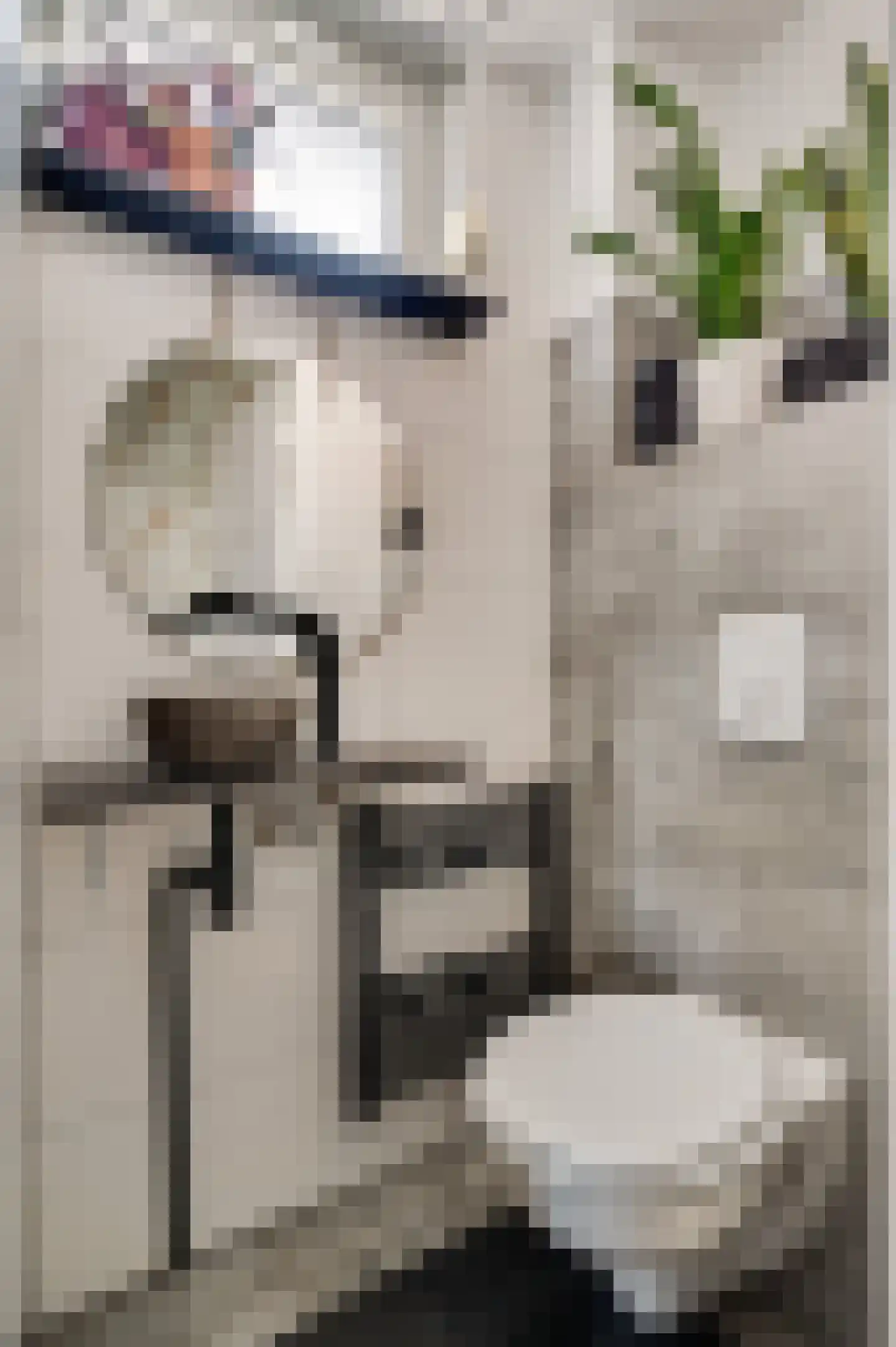 Hoppenraderweg 9 Swalmen thumbnail 7