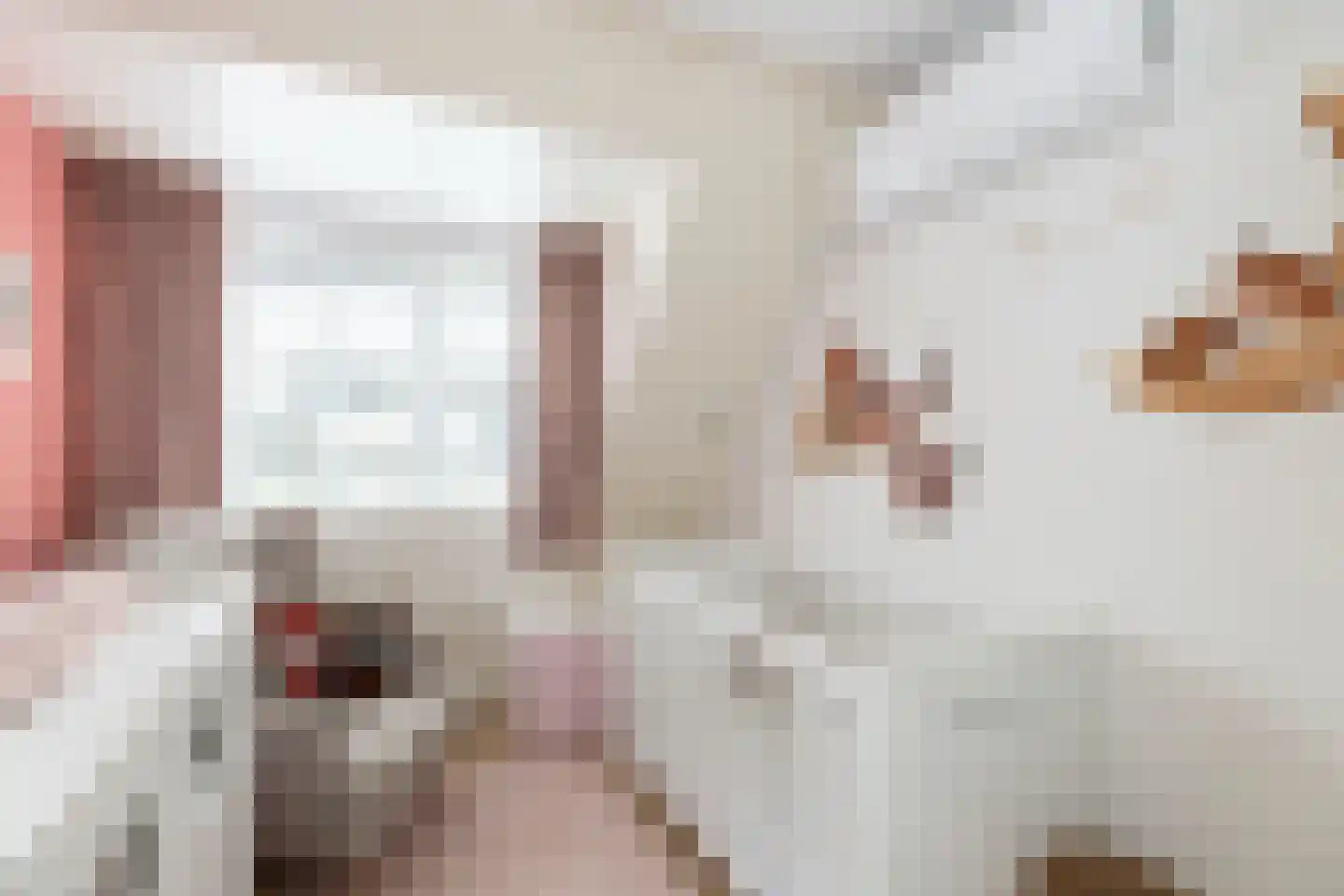 Hopper 31 Sliedrecht thumbnail 13