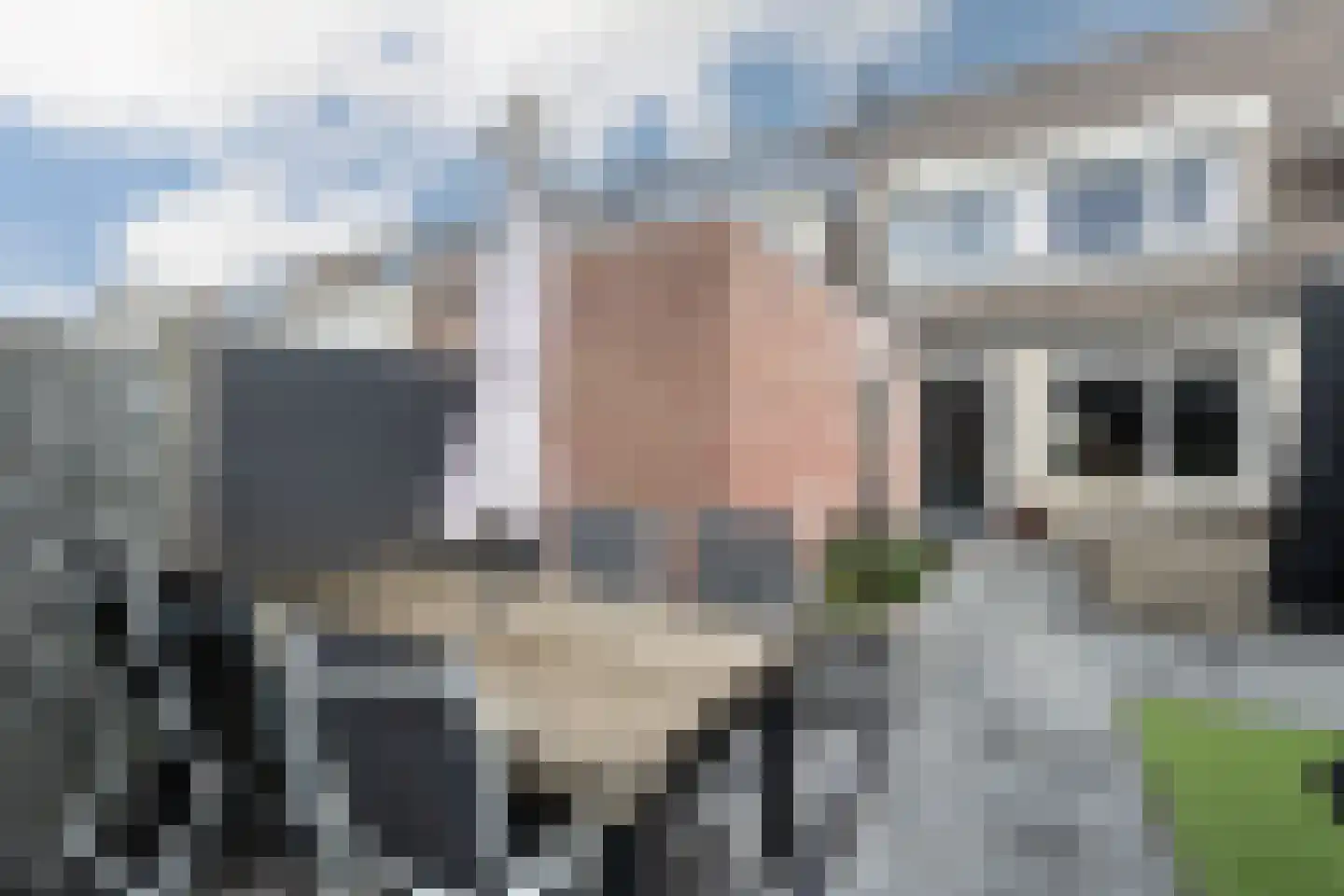 Hopper 31 Sliedrecht thumbnail 19