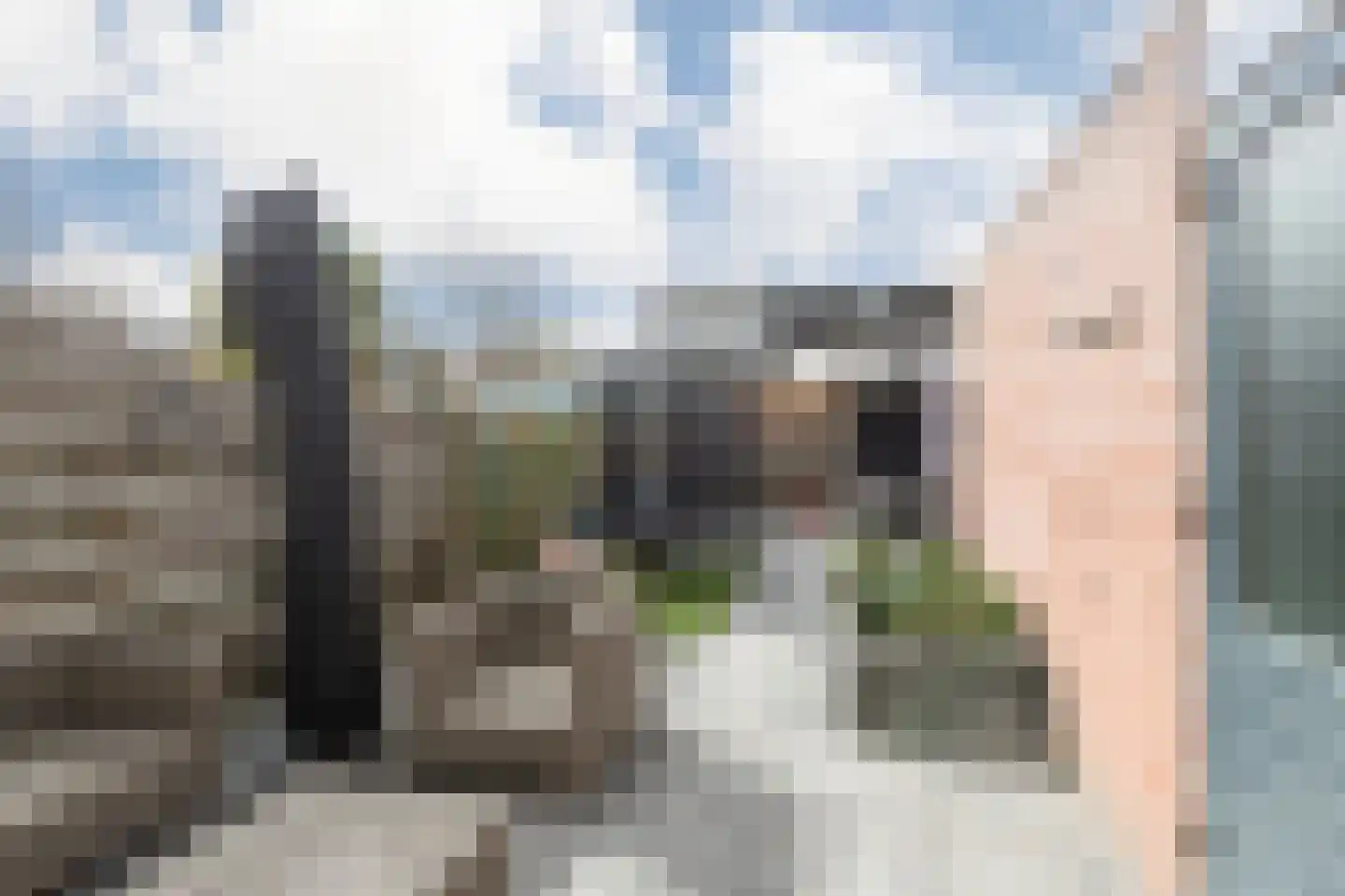 Hopper 31 Sliedrecht thumbnail 4