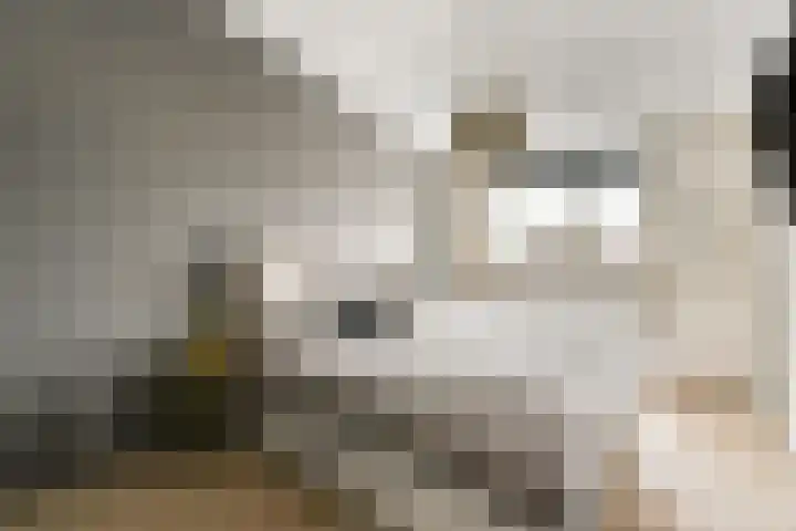 Hopper 56 Sliedrecht thumbnail 12