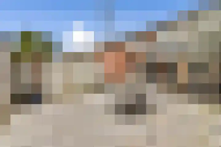 Hopper 56 Sliedrecht thumbnail 22