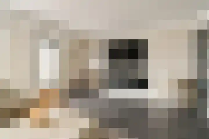 Hopper 56 Sliedrecht thumbnail 8
